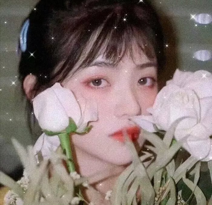 睡觉的笨蛋