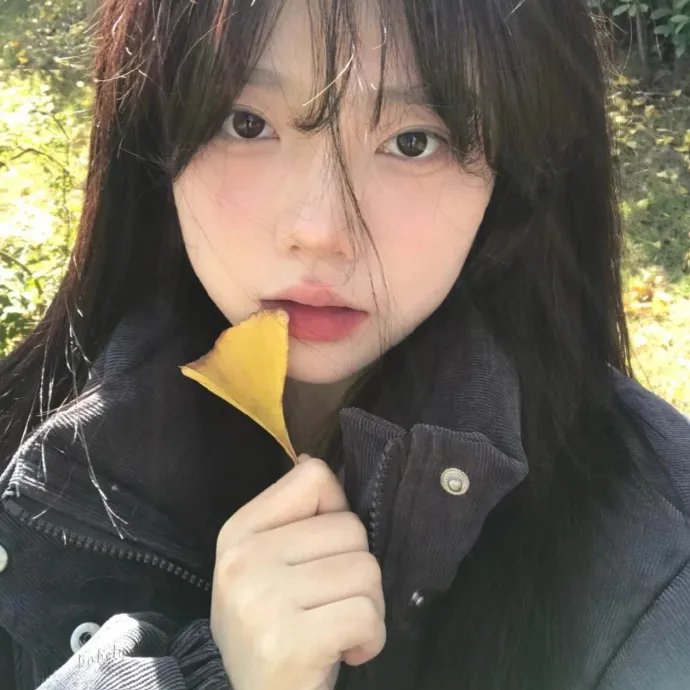 旋风客